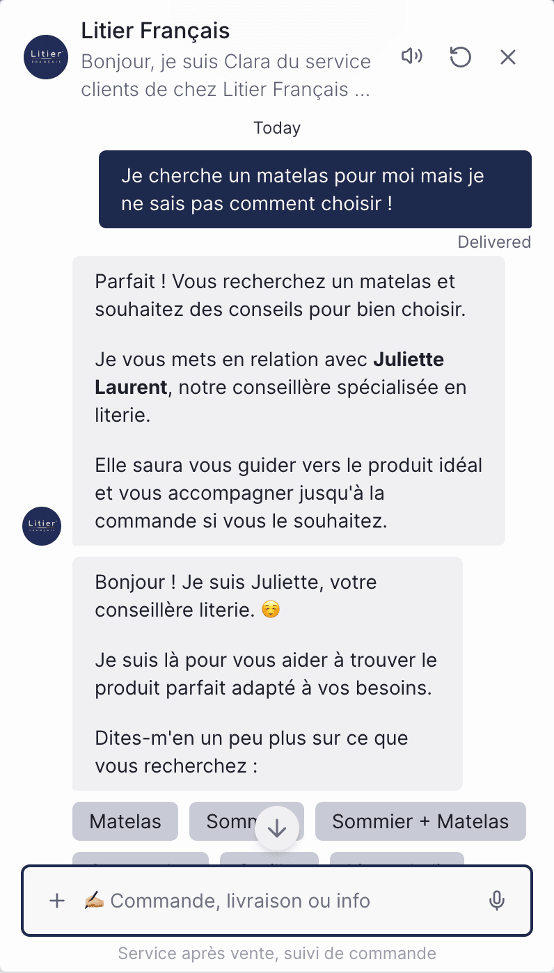 Litier Français screenshot 2